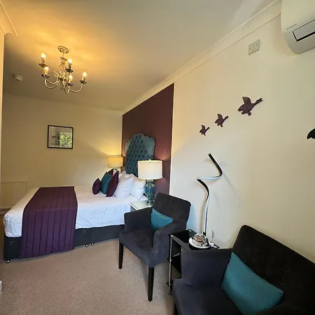 The 25 Boutique B&B - Adults Only-2