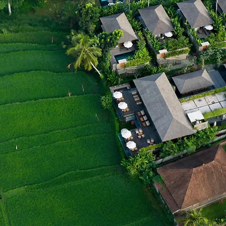Kappa Senses Ubud-2