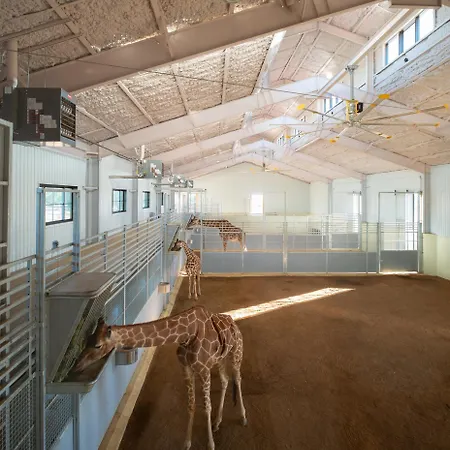 Longneck Manor-2