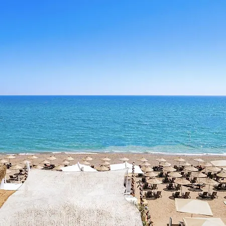 Berry Blue Hotels-2