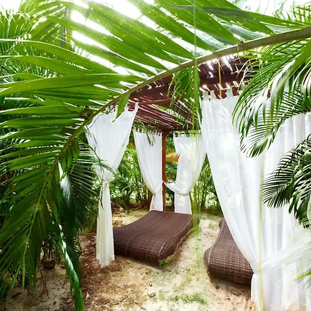 Tropicana Studios Playa Los Corales-2