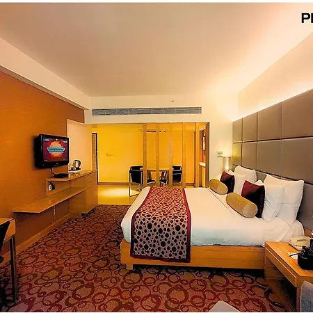 Pride Plaza Hotel, Ahmedabad-3