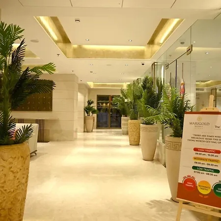 Marigold-Newly Renovated Hotel-2