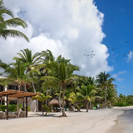 Mantaray Tulum-2