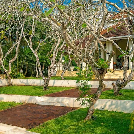 The Sun House-3