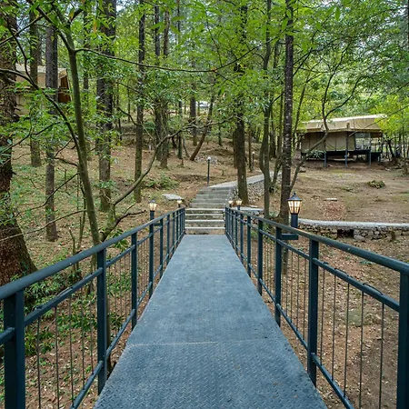 Everest Base Camp, Near George Everest House, 5Kms From Library Chowk-3