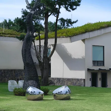 Amber Pure Hill Hotels & Resorts Jeju-3