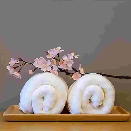Tokyo Cherry Blooming Hotel Ueno 东京超级中心上野公园3分钟 地铁1分钟 位置绝佳超级繁华 免费wifi Dyson吹风机cob-2
