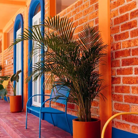 Boutique Hotel & Suites Hacienda Lord Twigg-2