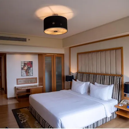 Radisson Blu Hotel, Nagpur-2
