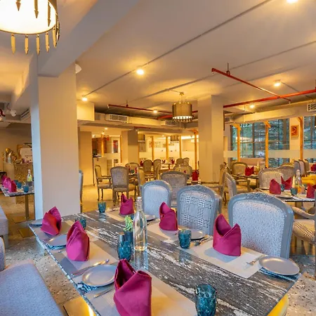 Mastiff Select Mandavya Dharamkot, Mcleodganj-3
