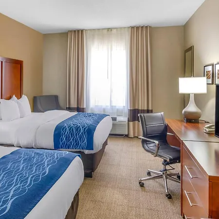 Comfort Inn & Suites Lynchburg Airport - University Area-3