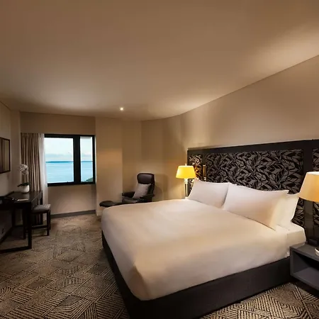Hilton Darwin-2