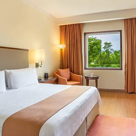 Trident Agra-3