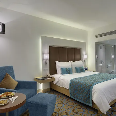 Pride Plaza Hotel, Ahmedabad-2