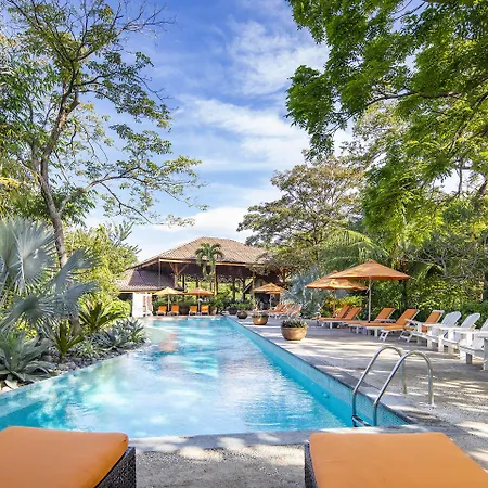 Bodhi Tree Yoga Resort-2