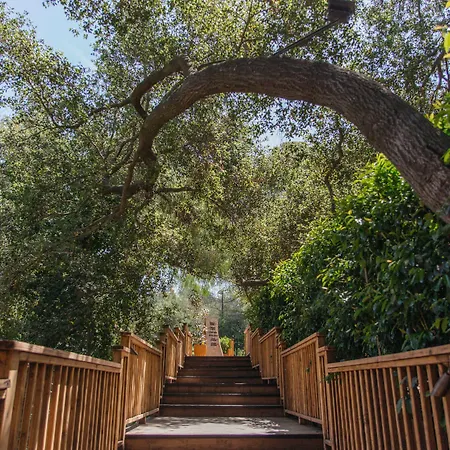 Calamigos Ranch Resort & Spa-2