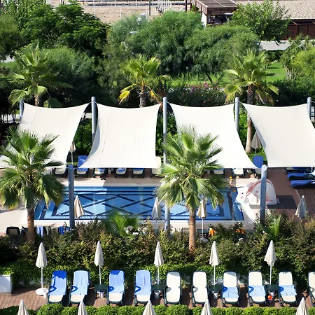 Trendy Verbena Beach-2