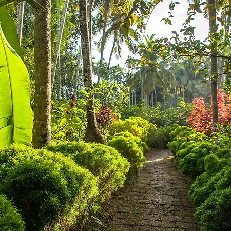 Kahani Paradise-2