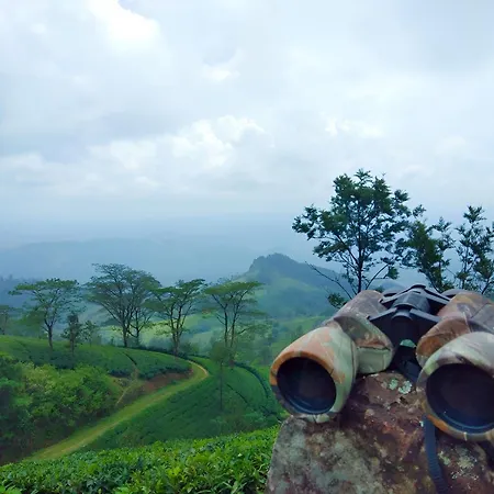 Simpson'S Forest - Luxury Boutique Resort & Spa - Kandy-2