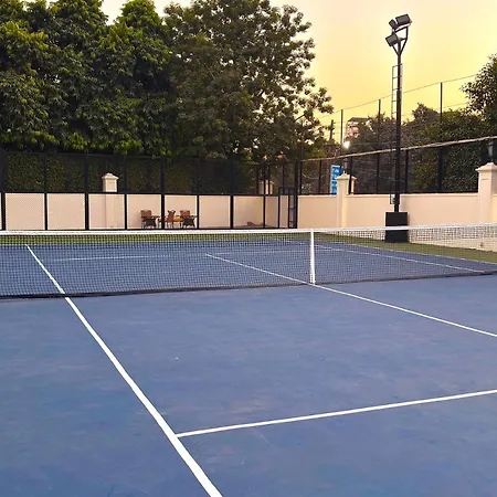 Dlf Club 3-2