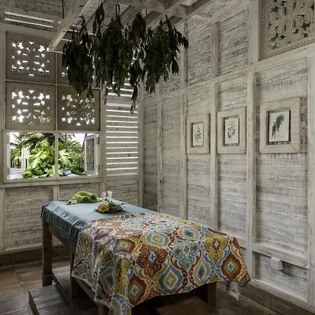Ayurvie Weligama - Ayurvedic Retreat By Thema Collection -Exclusively For Adults--3
