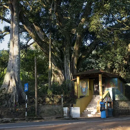 W15 Hanthana Estate Kandy-2