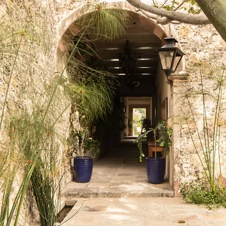Orchid House San Miguel De Allende-2