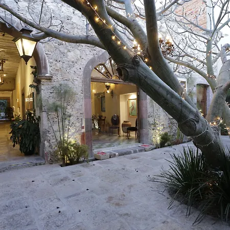 Orchid House San Miguel De Allende-3