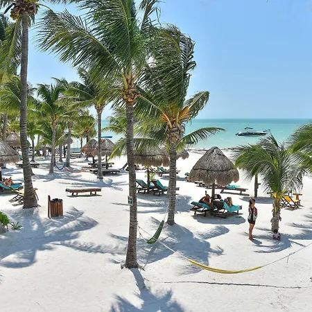 Amaite Holbox - Oceanfront Hotel-3