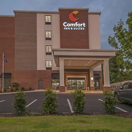 Comfort Inn & Suites Downtown Near University-2