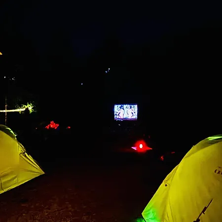 Club Mahindra Pristine Peaks Naldehra-2