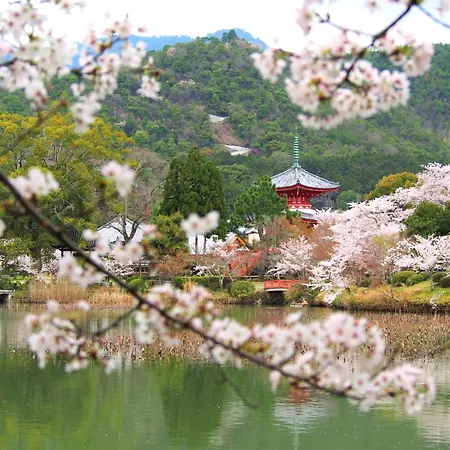 Muni Kyoto-3
