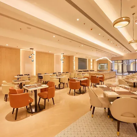 Skywings Sarovar Portico Mathura-3