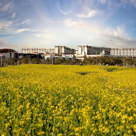 Landing Jeju Shinhwa World Hotel-2
