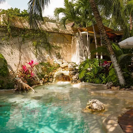 Mezcal Boutique Hotel-2