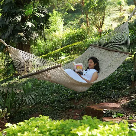Trivik Hotels & Resorts, Chikmagalur-3