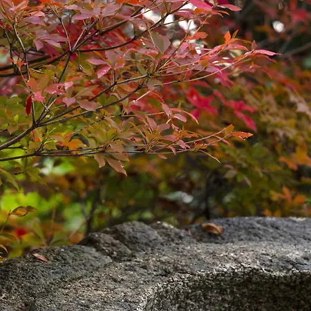 Roku Kyoto, Lxr Hotels & Resorts By Hilton-3