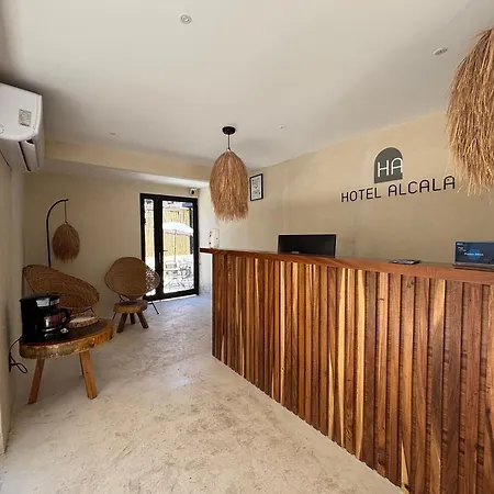 Hotel Boutique Alcala Vallarta-2