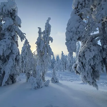 Arctic Panorama Resort-2