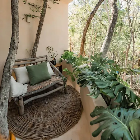 Taio Tulum-3