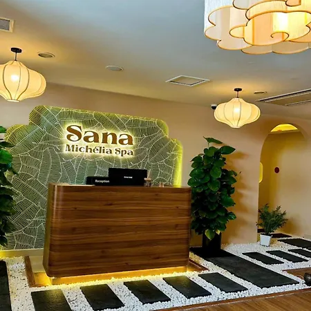 Ttc Hotel Michelia-3