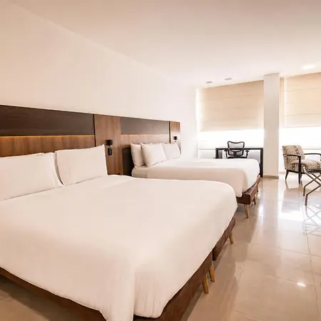 San Simon Hotel Pereira By Soratama-3