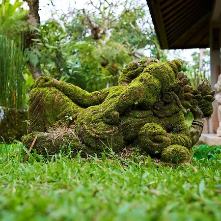 Ayurvedagram Bali - Wellness & Retreat Resort-2