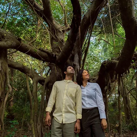 Sanctuary Amaidiyana - A Cgh Earth Experience-3