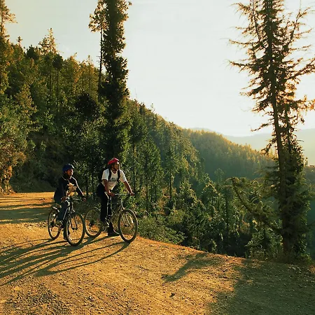 Wildflower Hall, An Oberoi Resort, Shimla-2