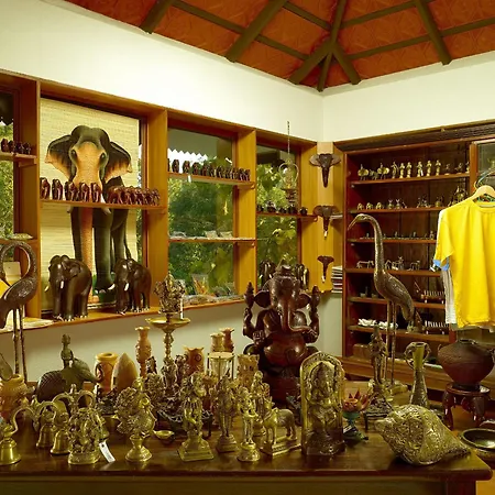 Elephant Court Thekkady-2
