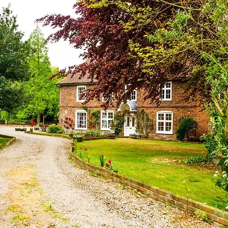 Molland Manor House Bed & Breakfast-2