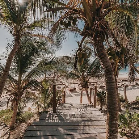 Papaya Playa Project, Tulum, A Member Of Design Hotels-3