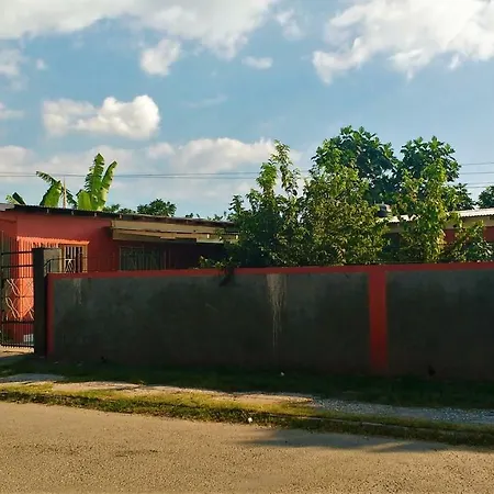 Yard Style-3